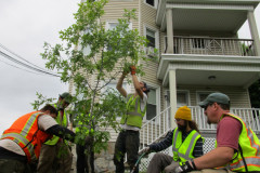 Haverhill-Spring-2019-Plant2