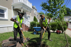 Quincy-Spring-2019-HA-dig1